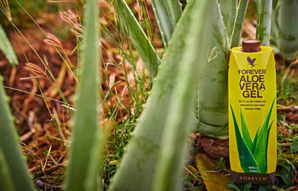 Forever Aloe Vera Gel, der Feuchtigkeitsspender schlechthin. Was macht die Aloe so besonders? höchste Qualität, Aloe Vera Gel, Vitamin C, Wohlbefinden, aloe-forever.at