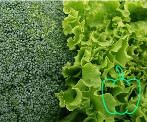 Grünes Gemüse ganz gesund - was kann es wirklich?