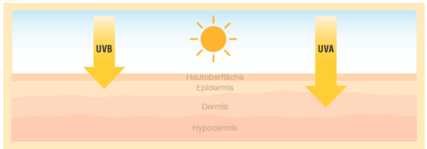 Der Unterschied zwischen UV-A und UV-B Strahlen.